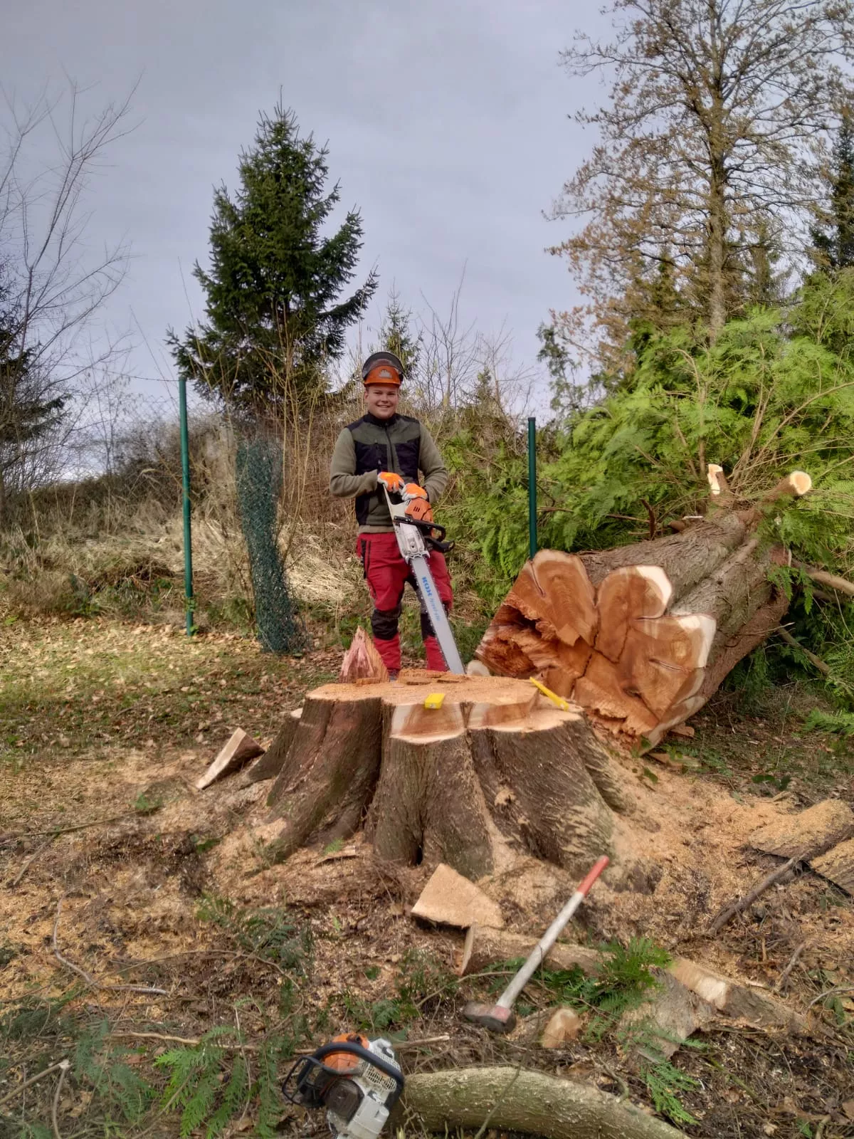 Jehle Objektservice, Baumschnitt, Baumfällung, Rasen mähen, vertikulieren, Rollrasen, Sanierungsarbeiten, Gartengestaltung, Kontakt,  Ühlingen, Birkendorf