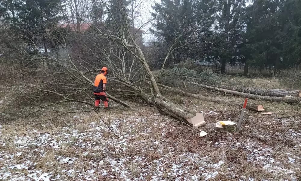 Baumfällarbeiten und Häckselarbeiten, Jehle Simon, Objektservice
