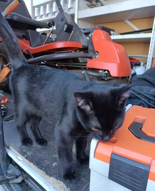 Kontakt, Simon Jehle, Objektbetreuung