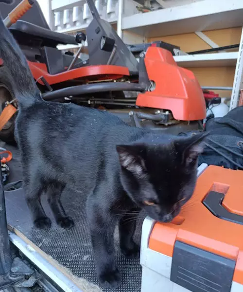 Jehle Objektservice, Simon Jehle, Leistungen