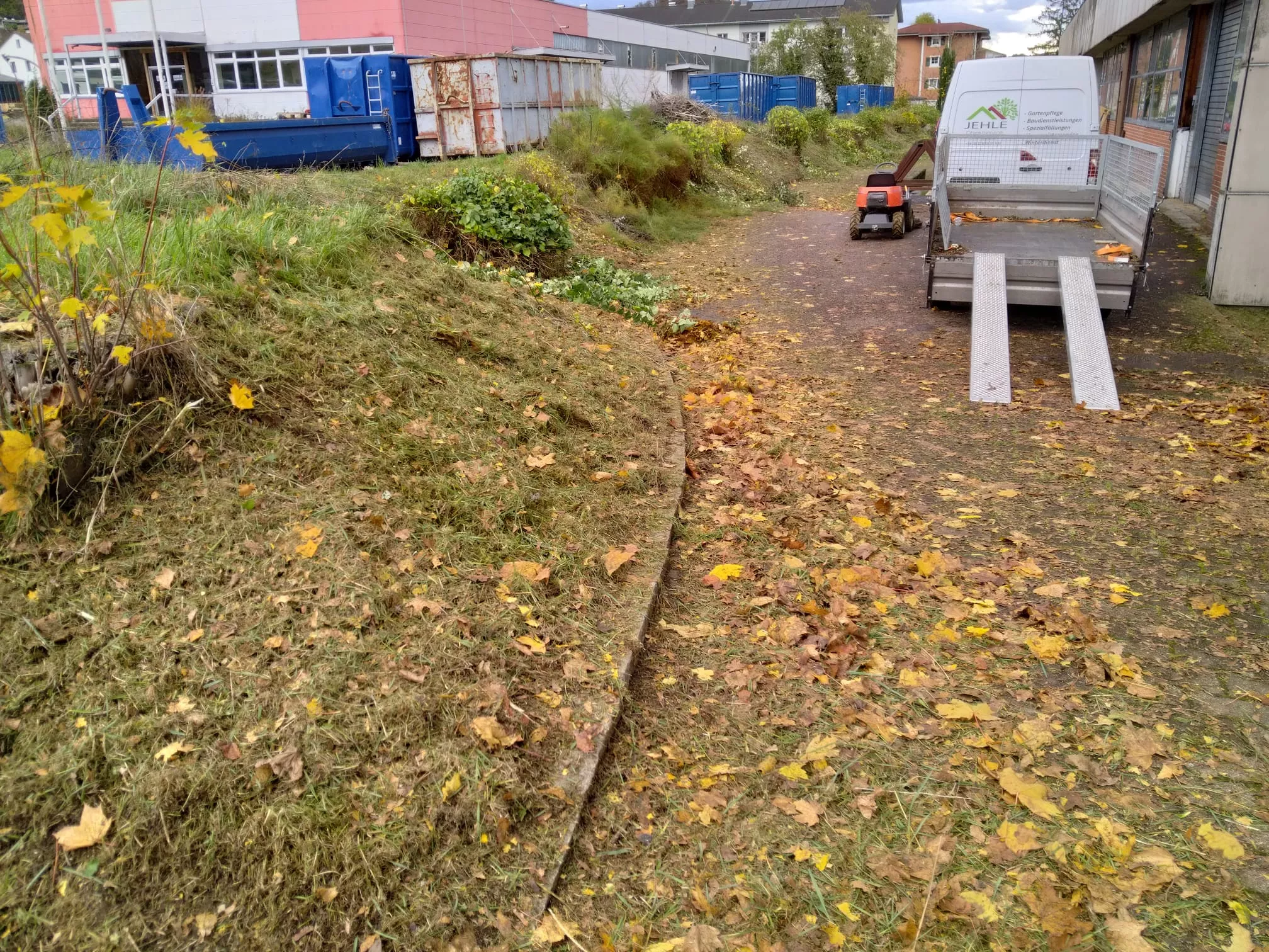 Buchs baumzünsler, Bekämpfung, Pflege Hecke, Gartenpflege, Simon Jehle, Objektservice