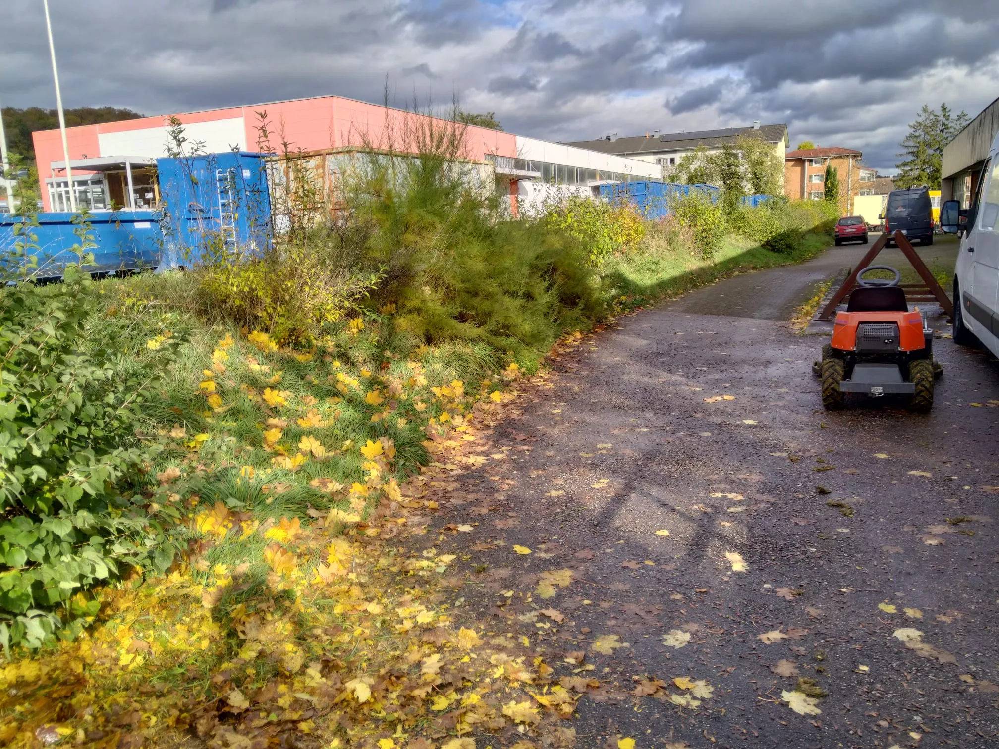 Buchs baumzünsler, Bekämpfung, Pflege Hecke, Gartenpflege, Simon Jehle, Objektservice